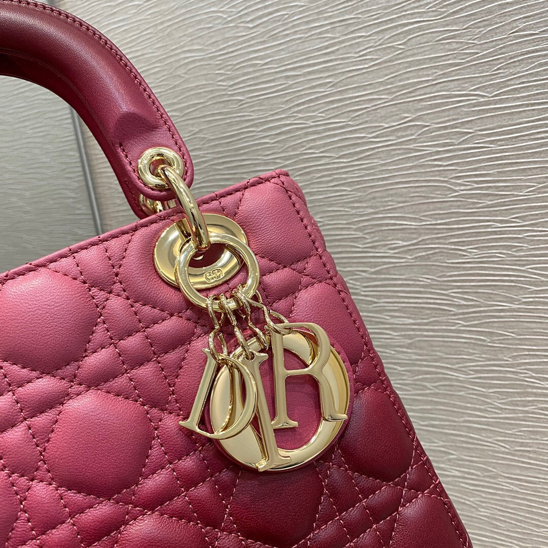 small lady D*or bag 8 x 6.5 x 3 inches