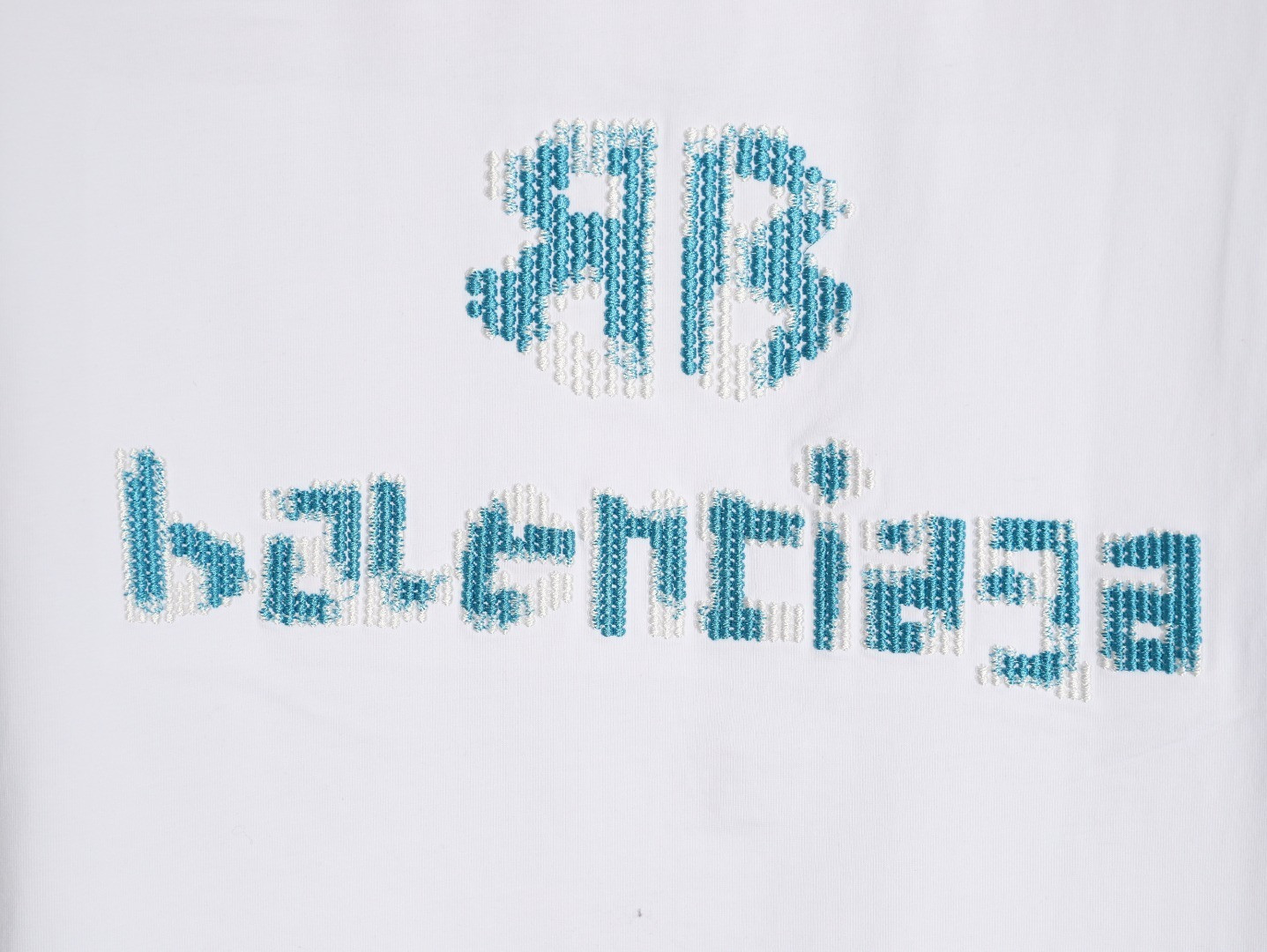 Ba1en*iaga short-sleeved t-shirt