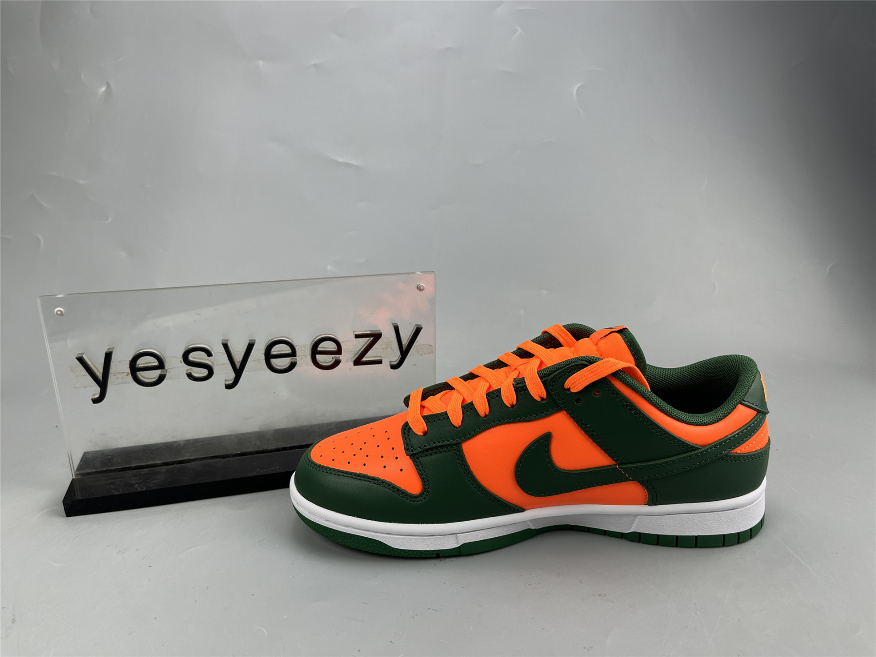 UA NIKE DUNK LOW 