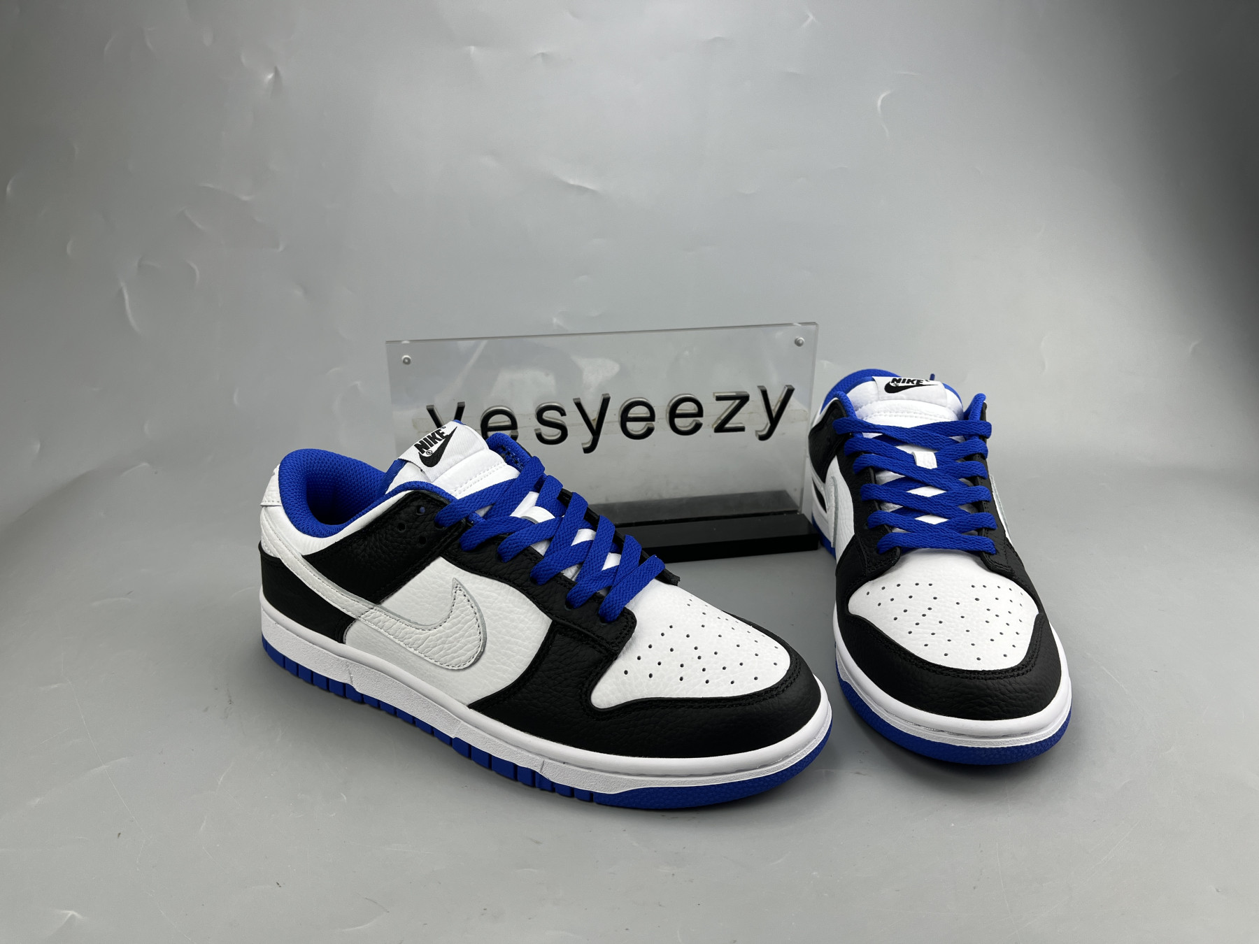 UA NIKE DUNK LOW 