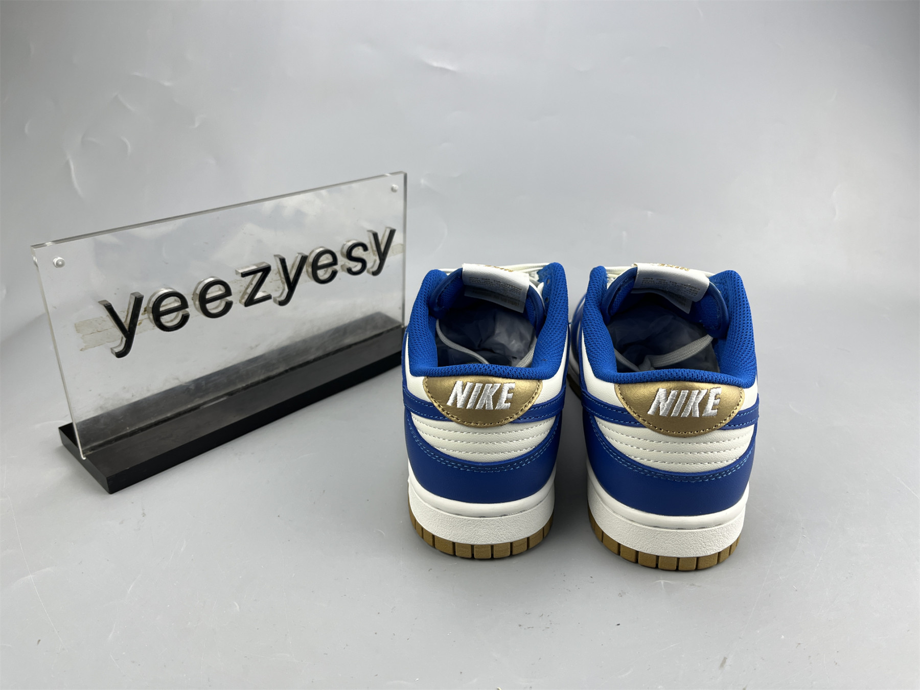 UA NIKE DUNK LOW 