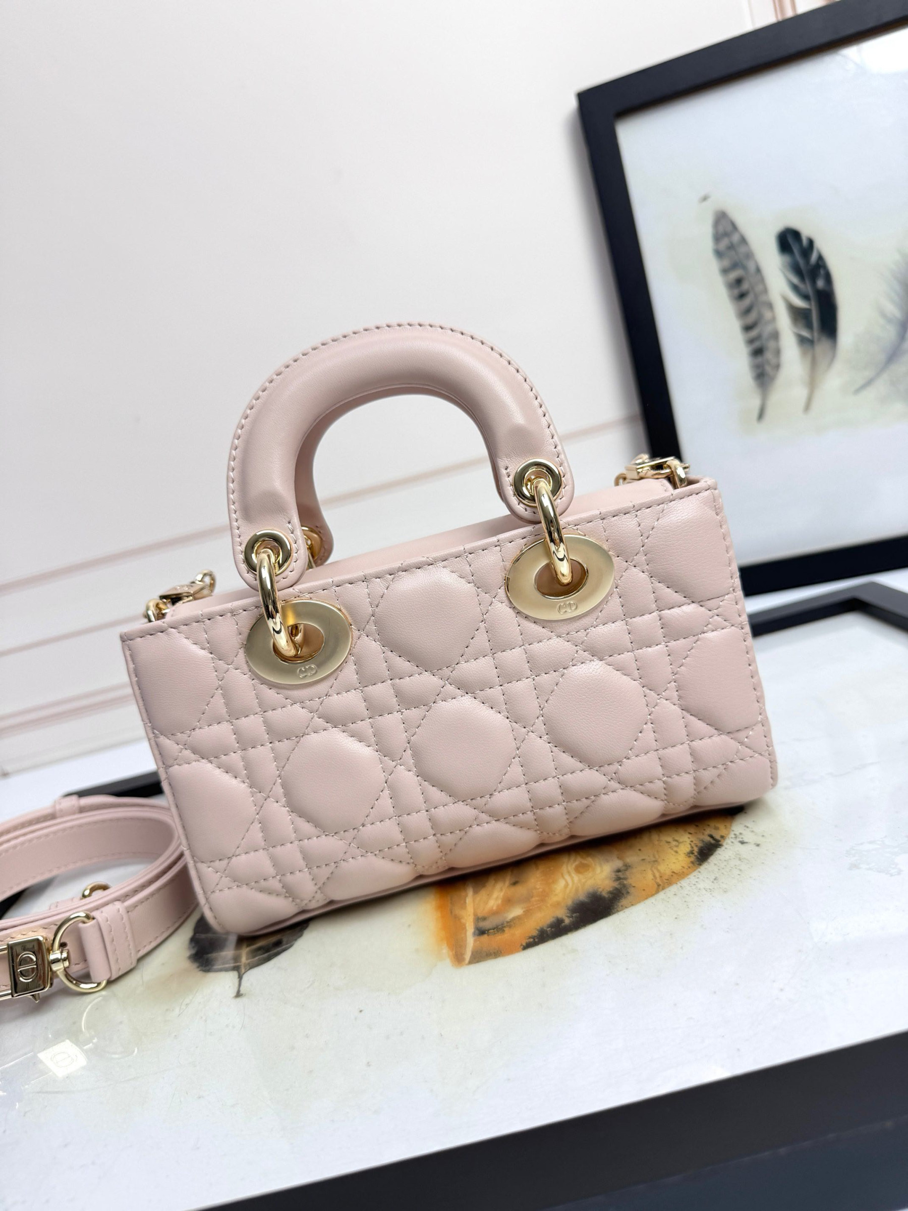 D10r mini lady d-joy bag 19x10.5x5.5cm