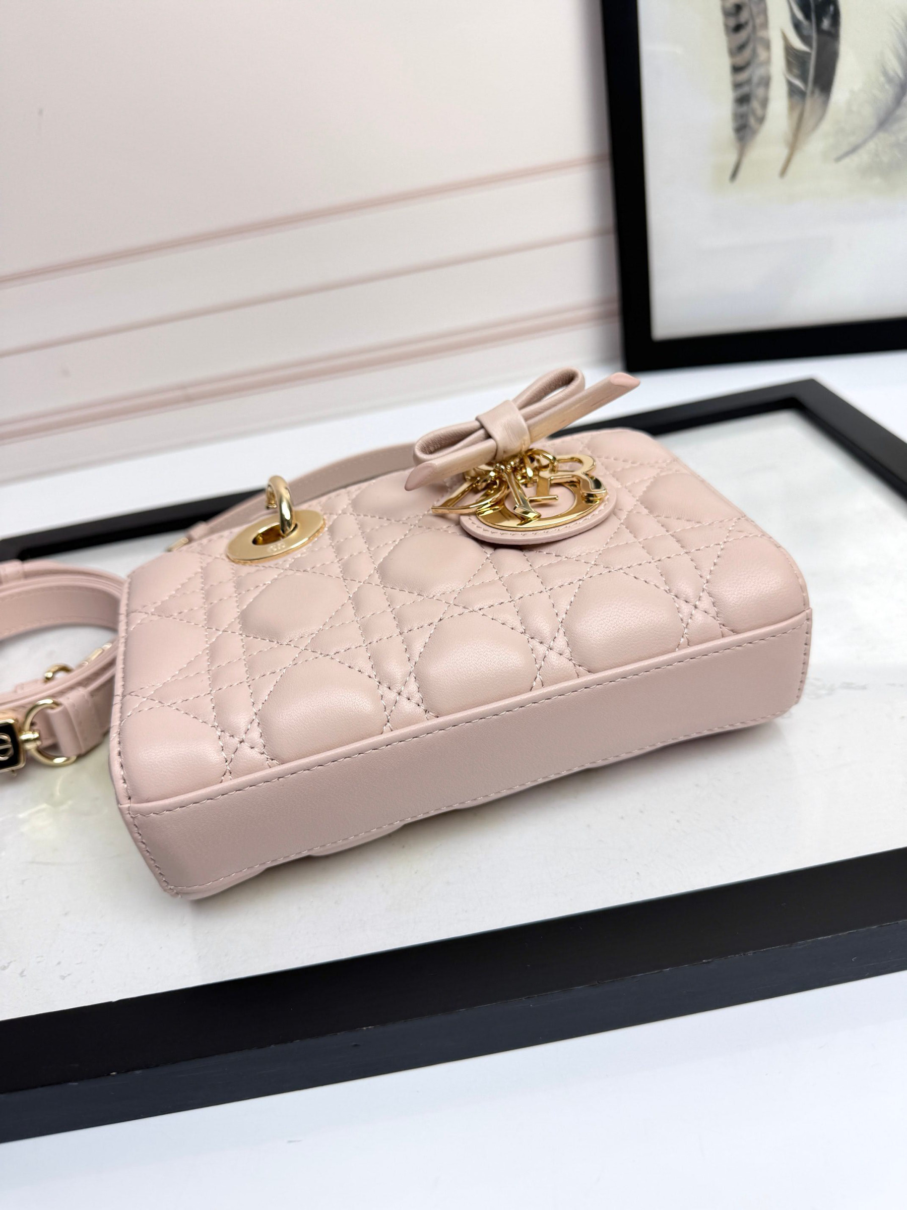 D10r mini lady d-joy bag 19x10.5x5.5cm
