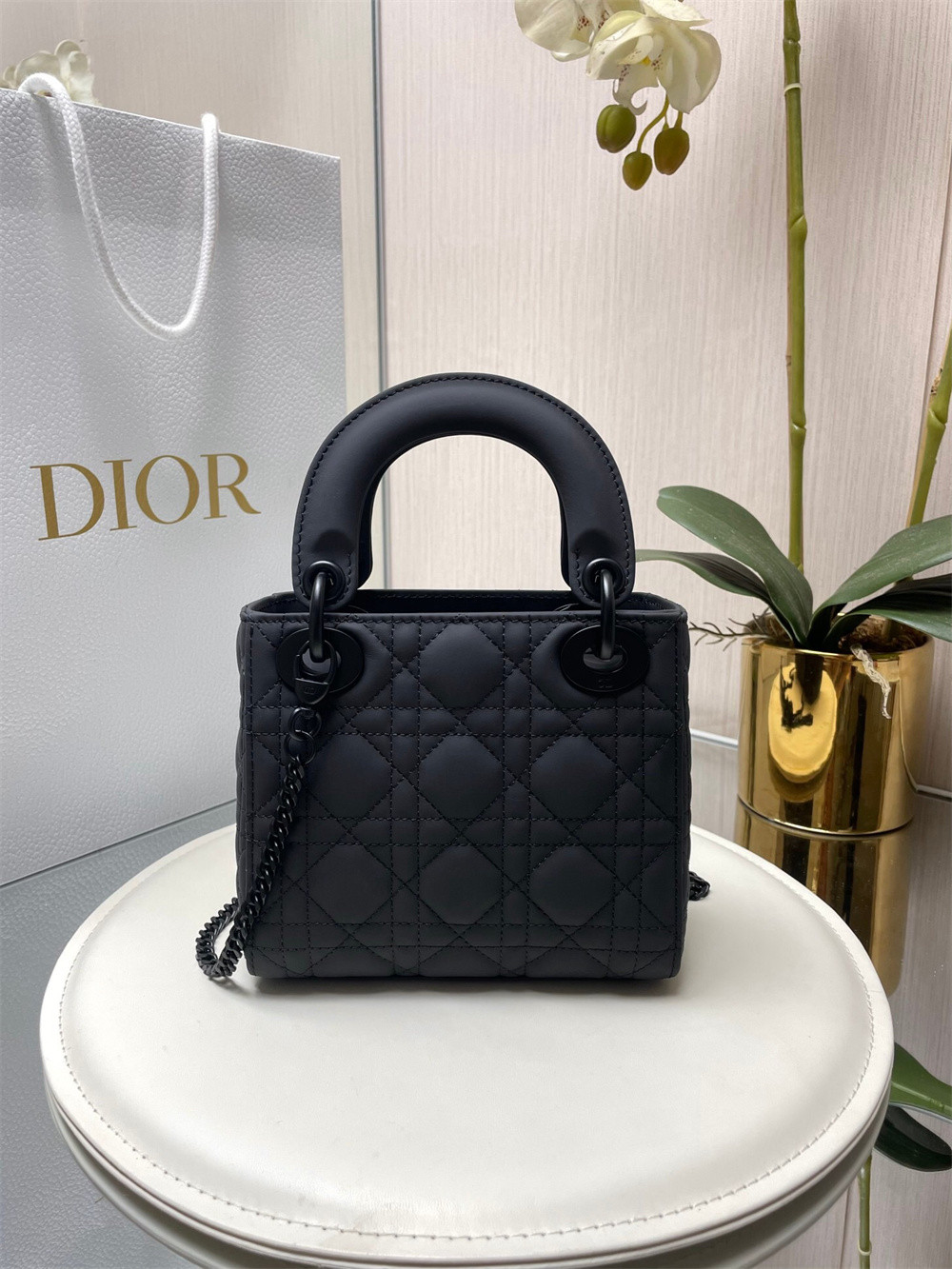 Mini Lady D10r Bag 6.5 x 6 x 3 inches