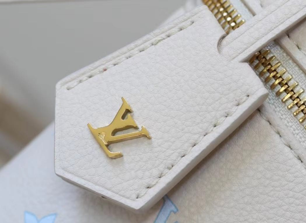 LV VANITY CHAIN POUCH Handbag M27744 11.5x6.5x19cm