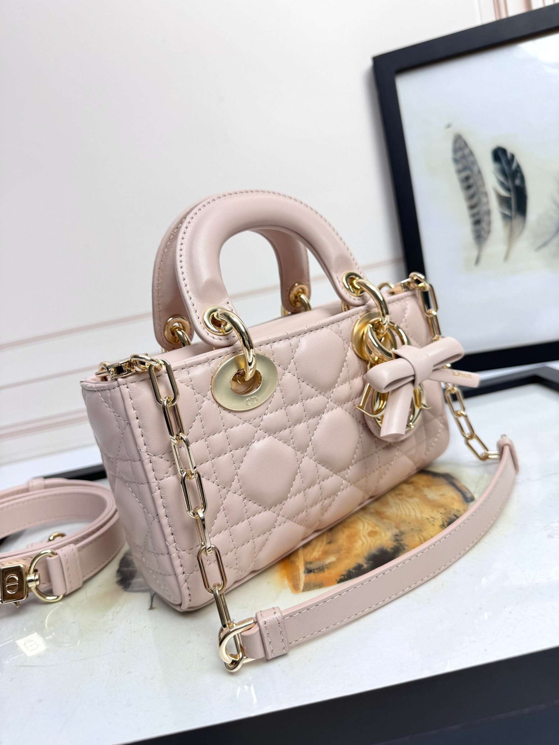 D10r mini lady d-joy bag 19x10.5x5.5cm