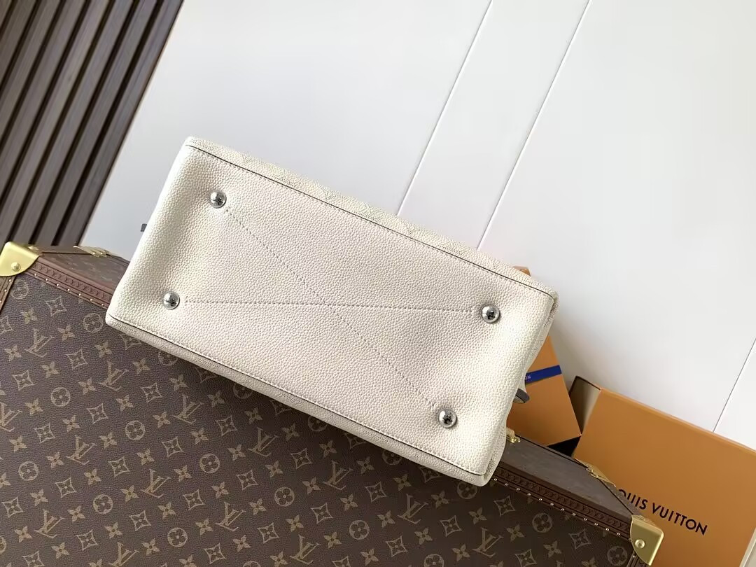 LV Carmel Hobo M53188 35x40x17cm