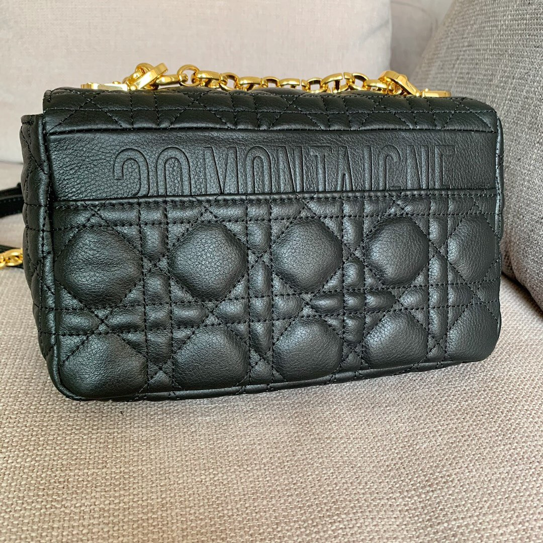 Small D10r CARO BAG