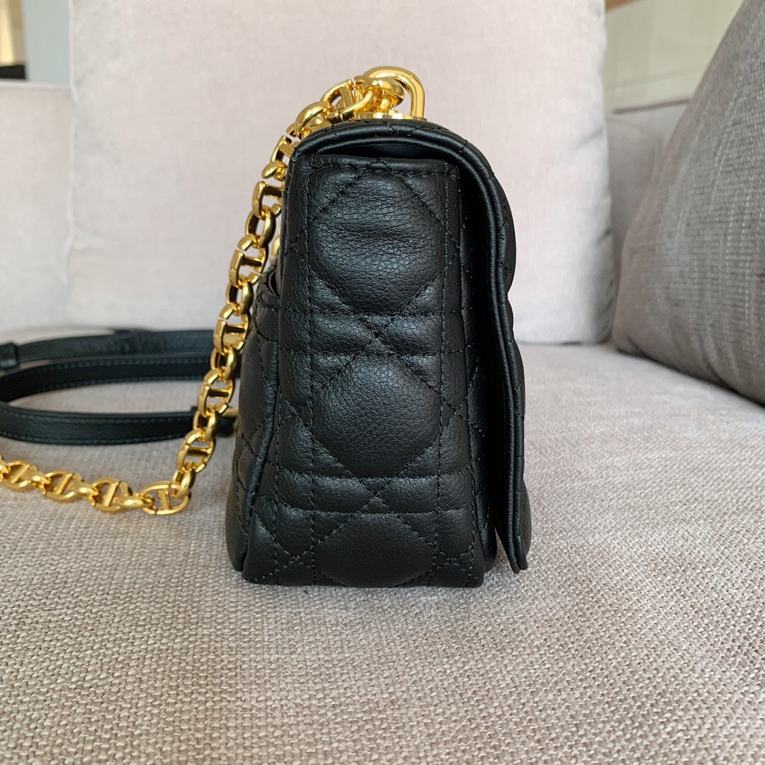 Small D10r CARO BAG