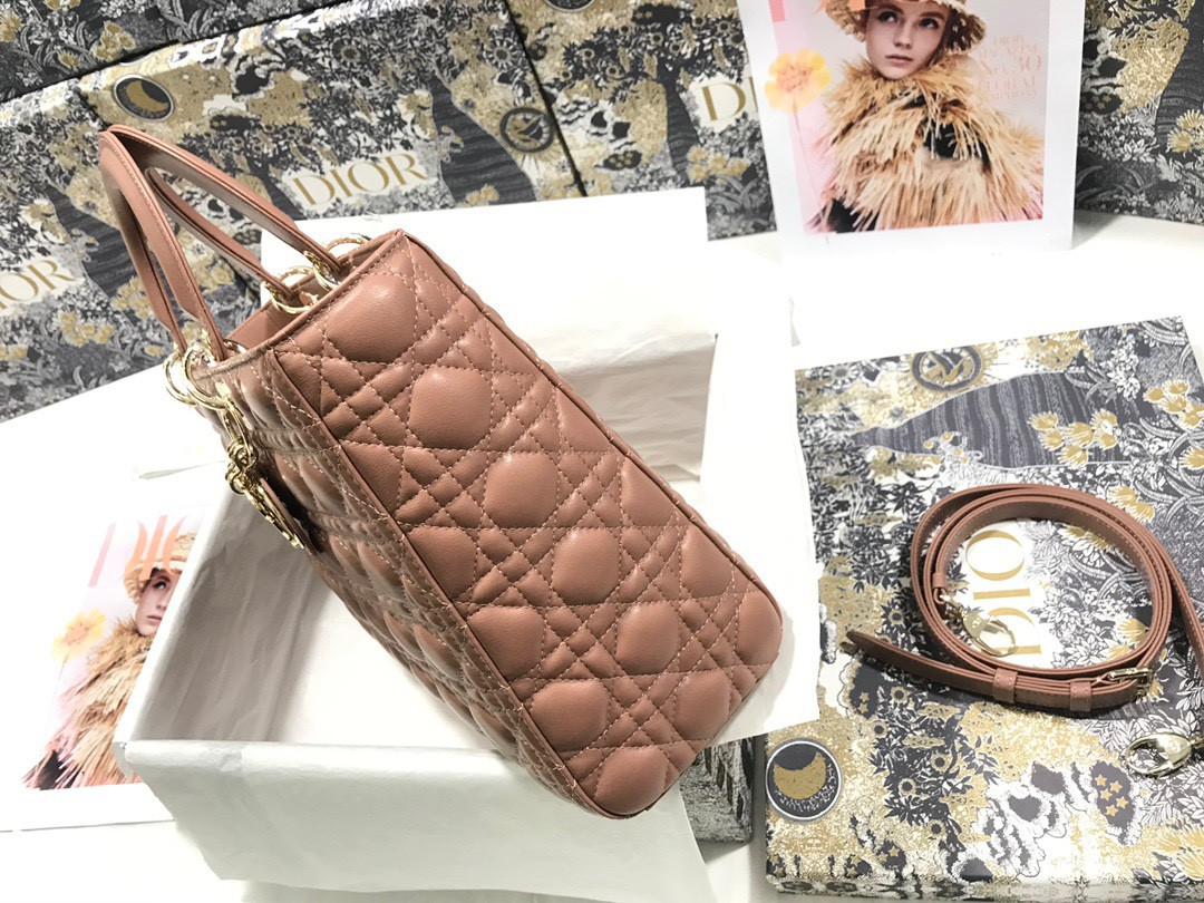 D10r Lady Bag 32 x 25 x 11cm