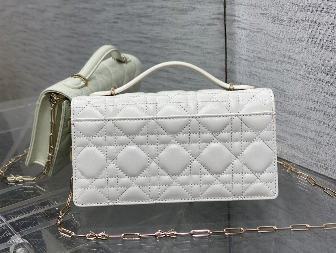 my D10r mini bag 21x11.5x4.5cm