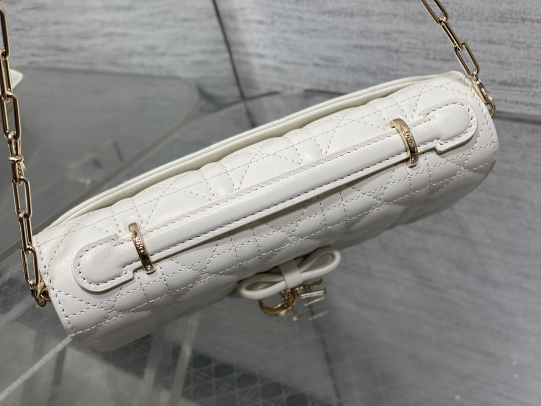 my D10r mini bag 21x11.5x4.5cm