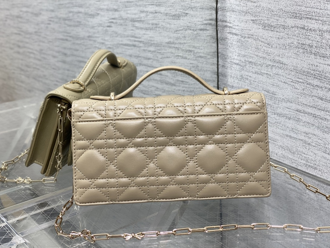 my D10r mini bag 21x11.5x4.5cm
