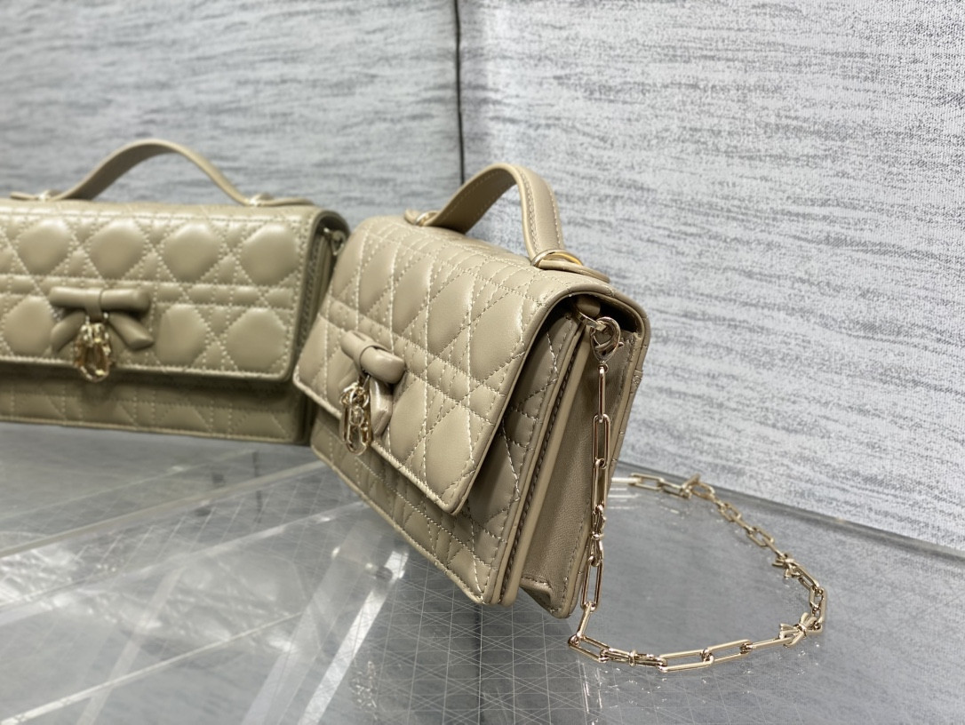 my D10r mini bag 21x11.5x4.5cm