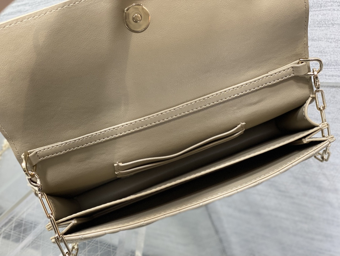 my D10r mini bag 21x11.5x4.5cm